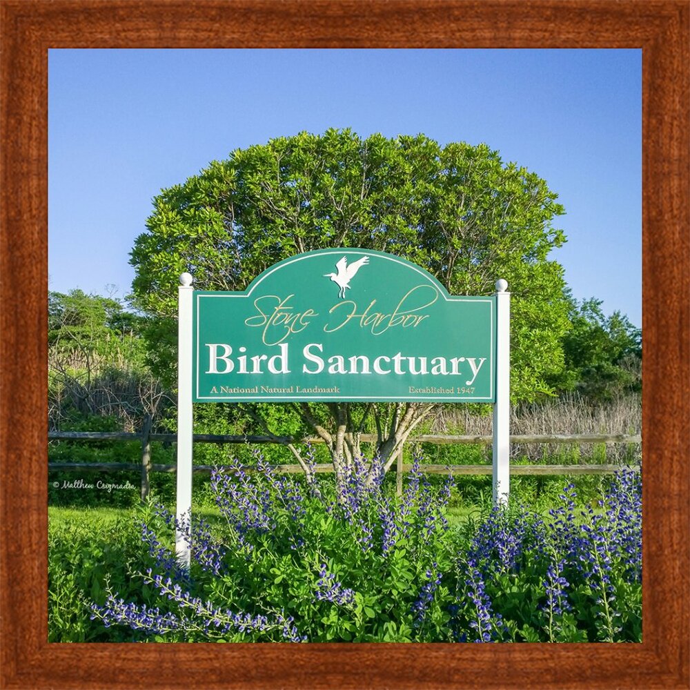 Stone Harbor Bird Sanctuary